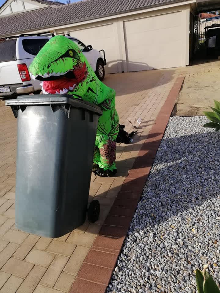 Bin