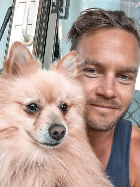dog bumble