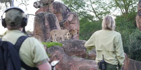 Disney's Animal Kingdom