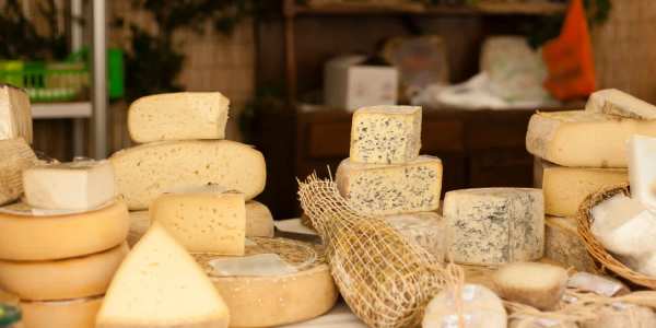 vegan cheese