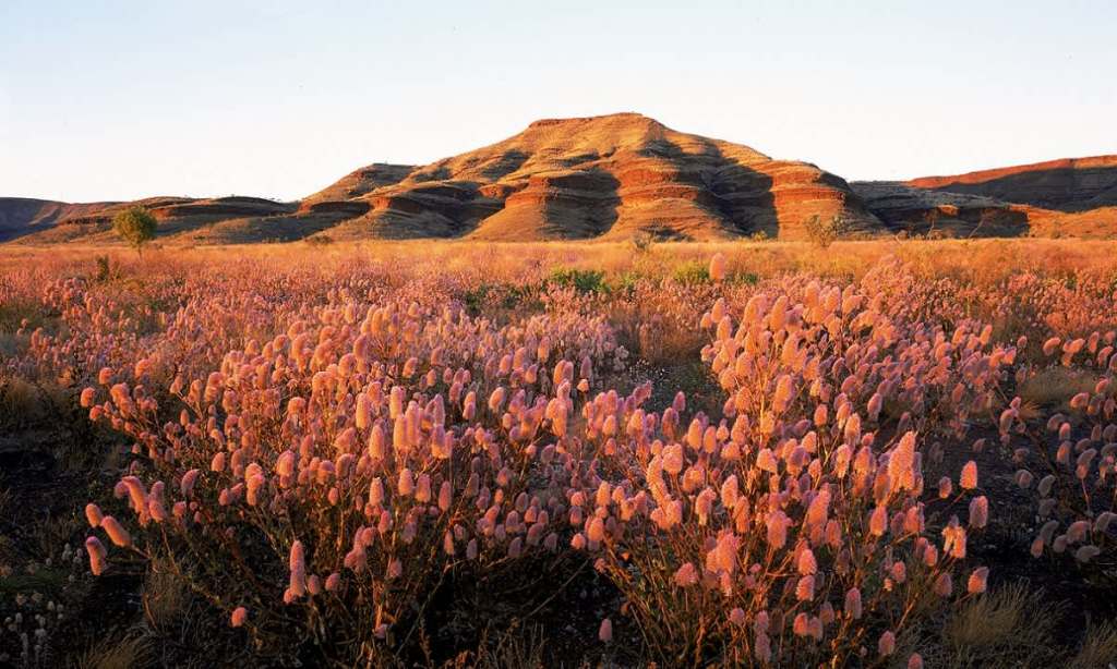 Indigenous travel