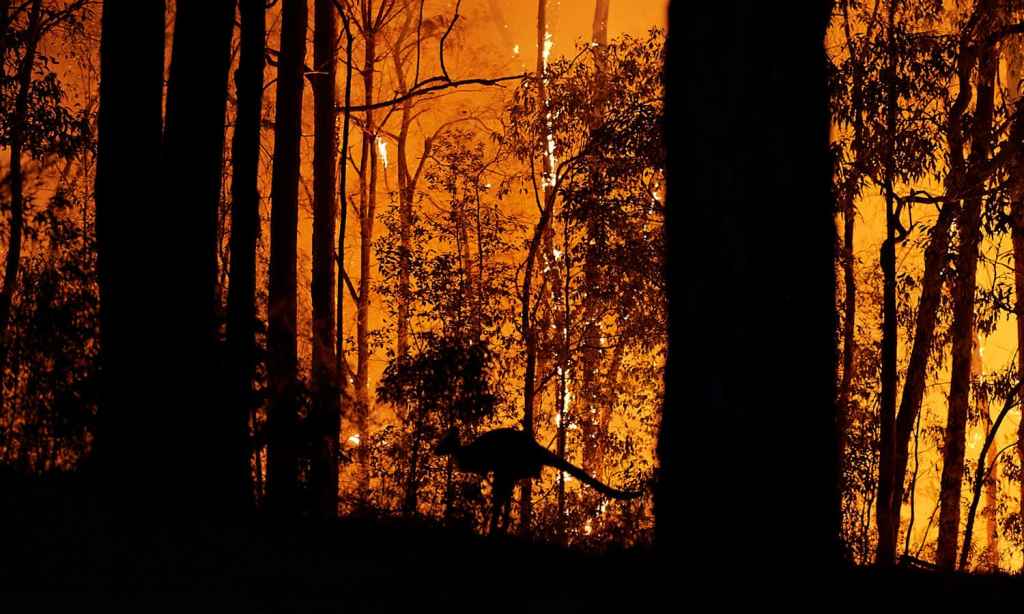 IPCC report