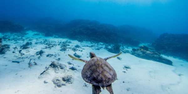 Dive site