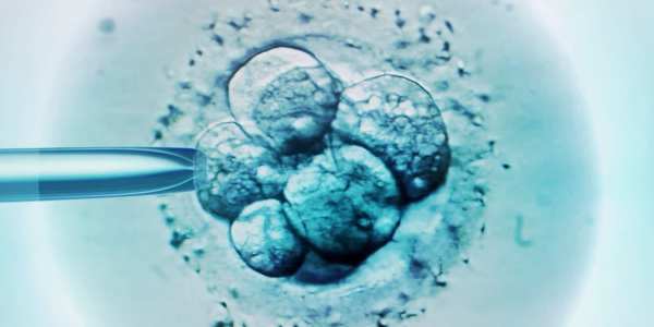 ivf victoria