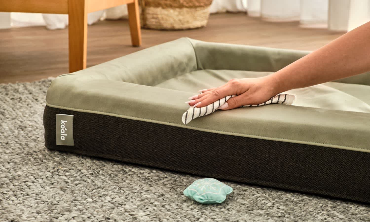 Koala pet bed