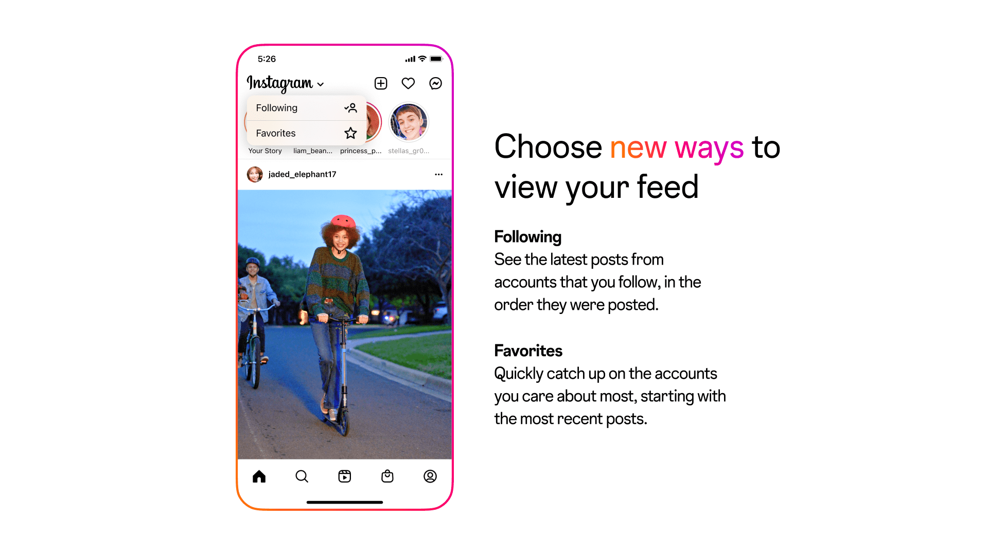 Instagram feed