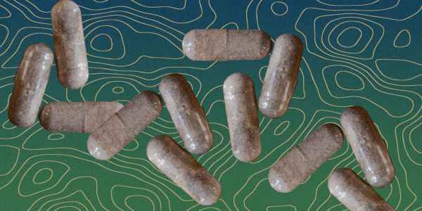 placenta pills