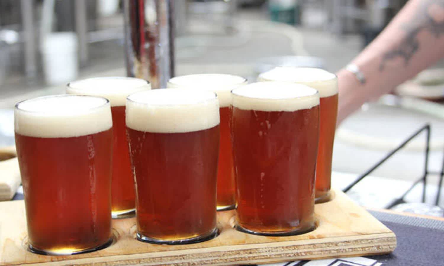 Brewery tour