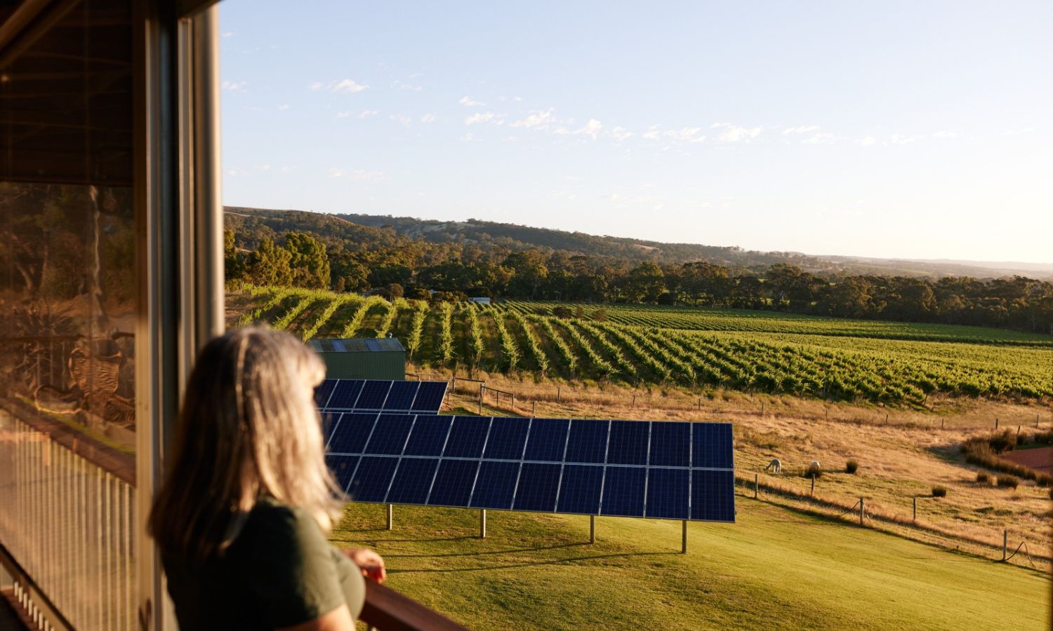 best wineries mclaren vale