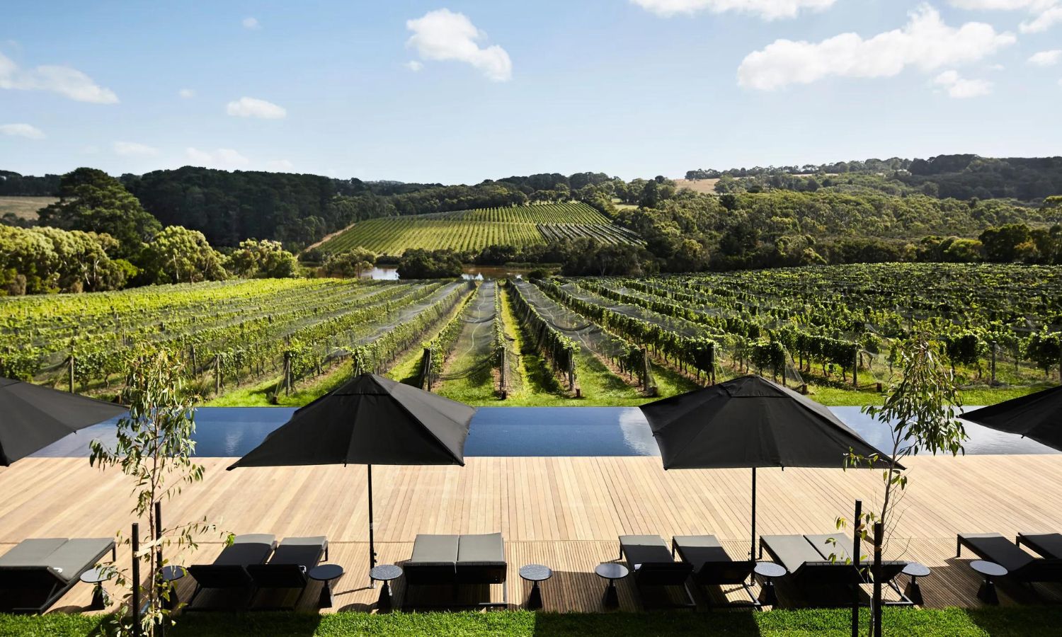 best wineries mornington peninsula
