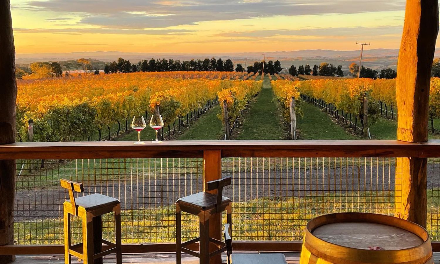 best wineries orange