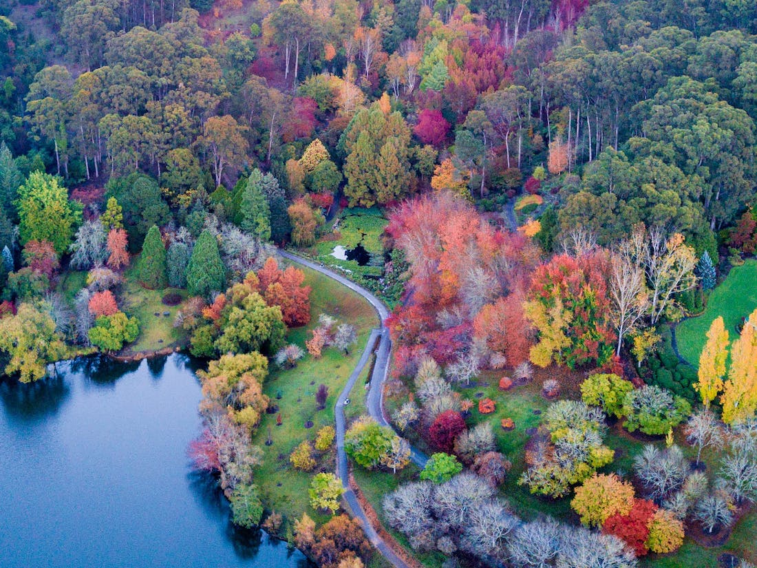 Mount Lofty Botanic Garden
