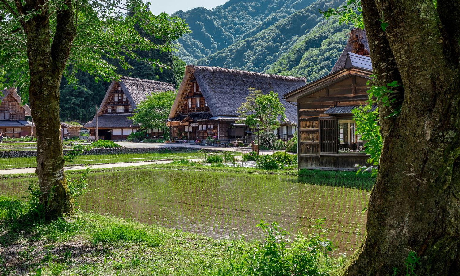 Suganuma Japan