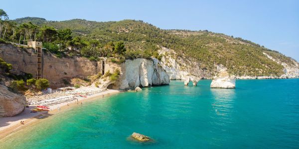 Zagare Bay