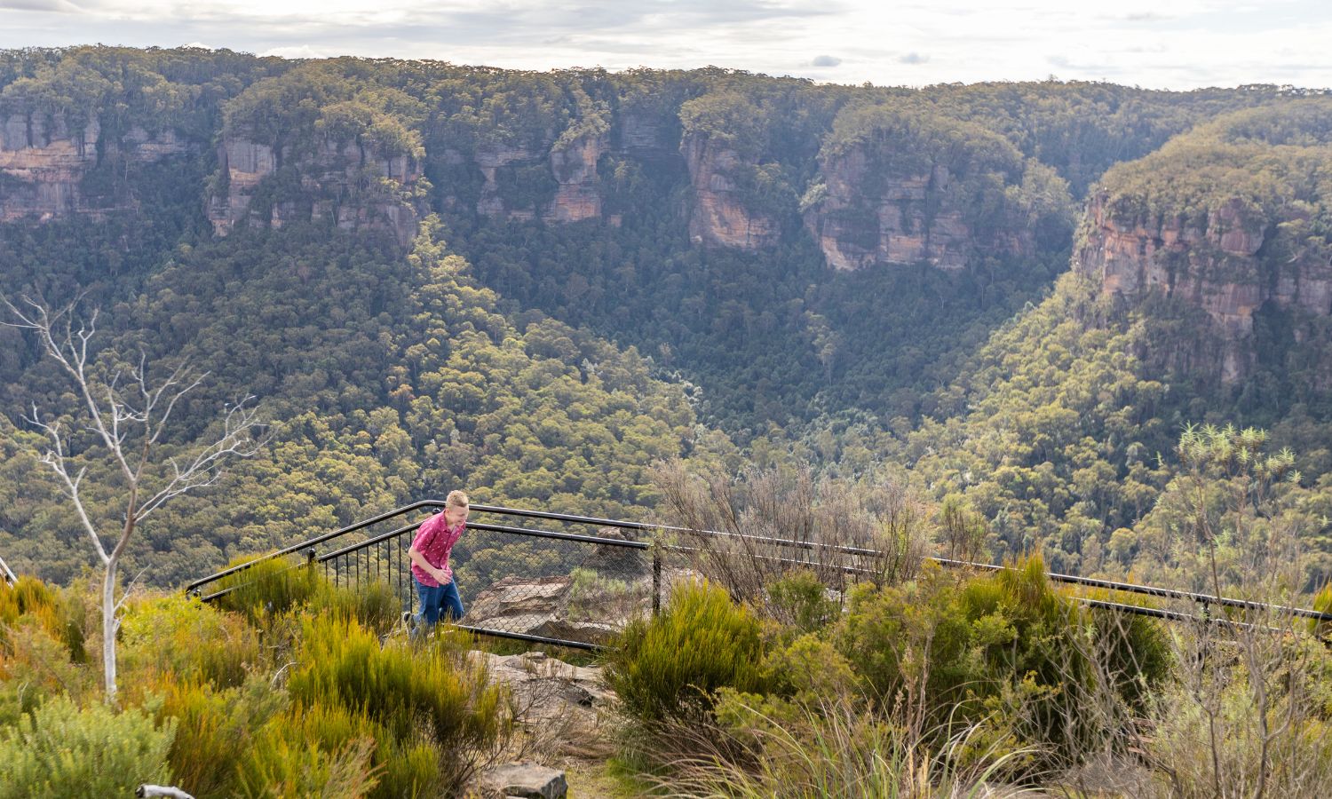 best road trips nsw