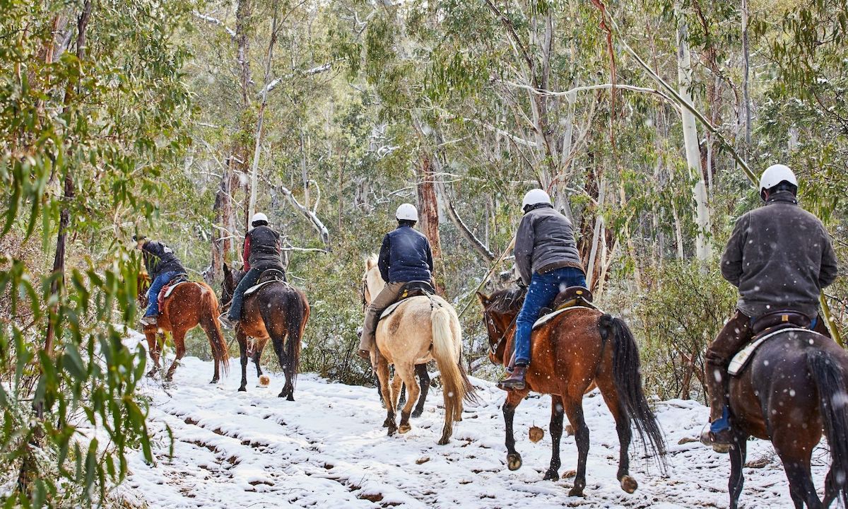 best road trips nsw