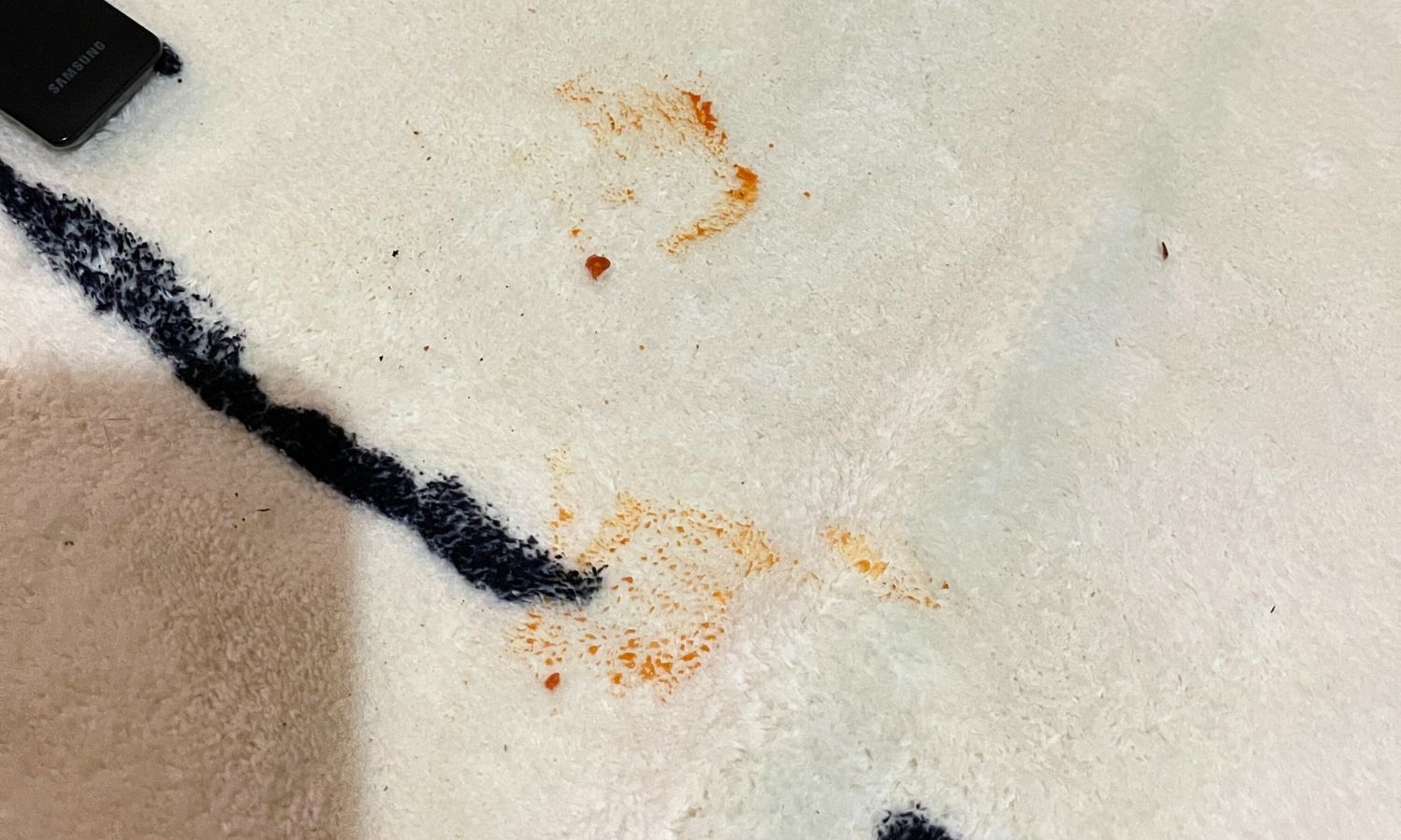 machine washable rug miss amara review