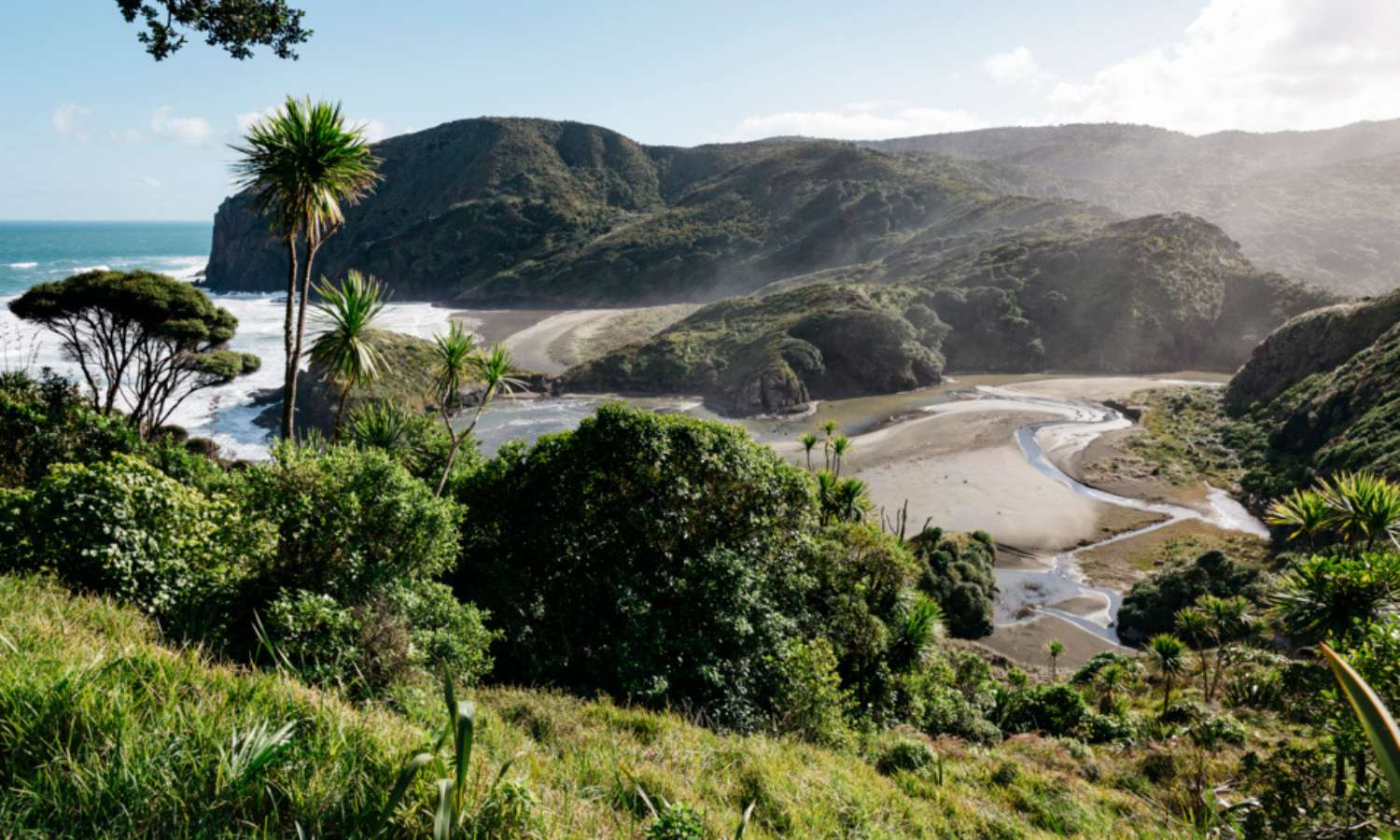 best walks auckland 