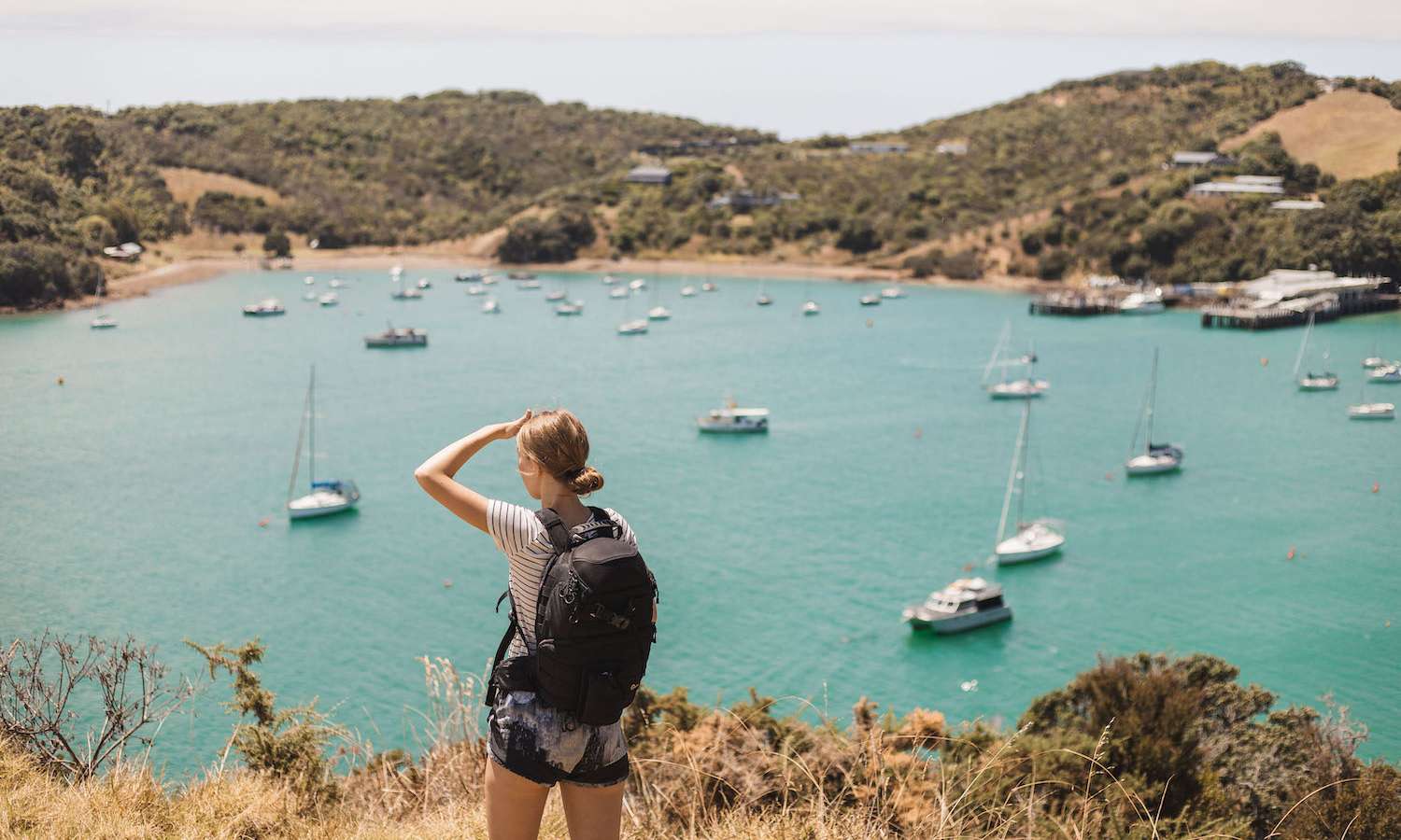 best walks auckland 