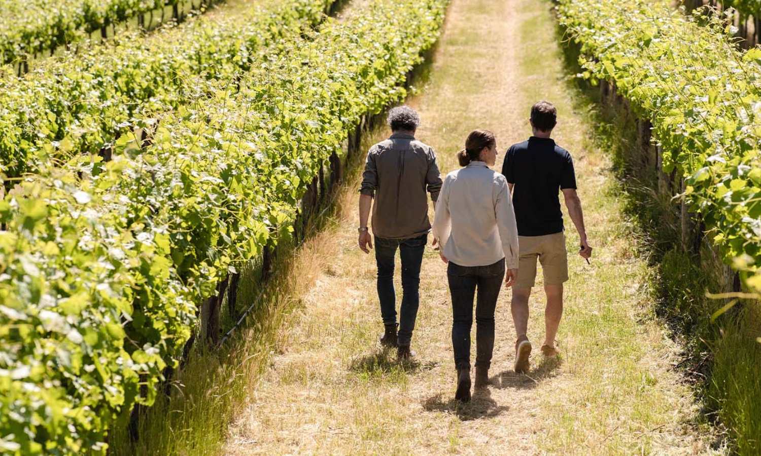 climate change wine