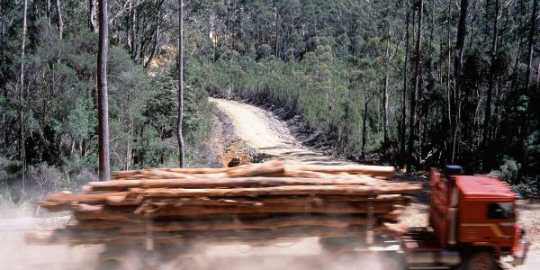 Environment laws need an overhaul and a reivew in Australia, say experts.