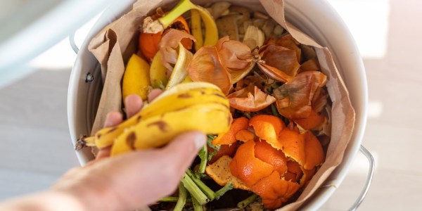 food waste
