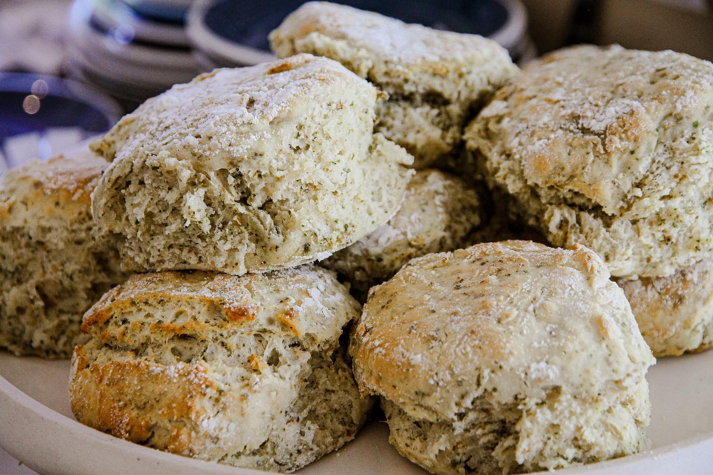 saltbush dishes australia