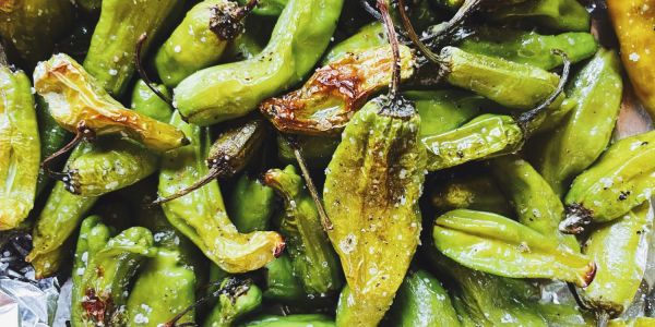 Shishito peppers